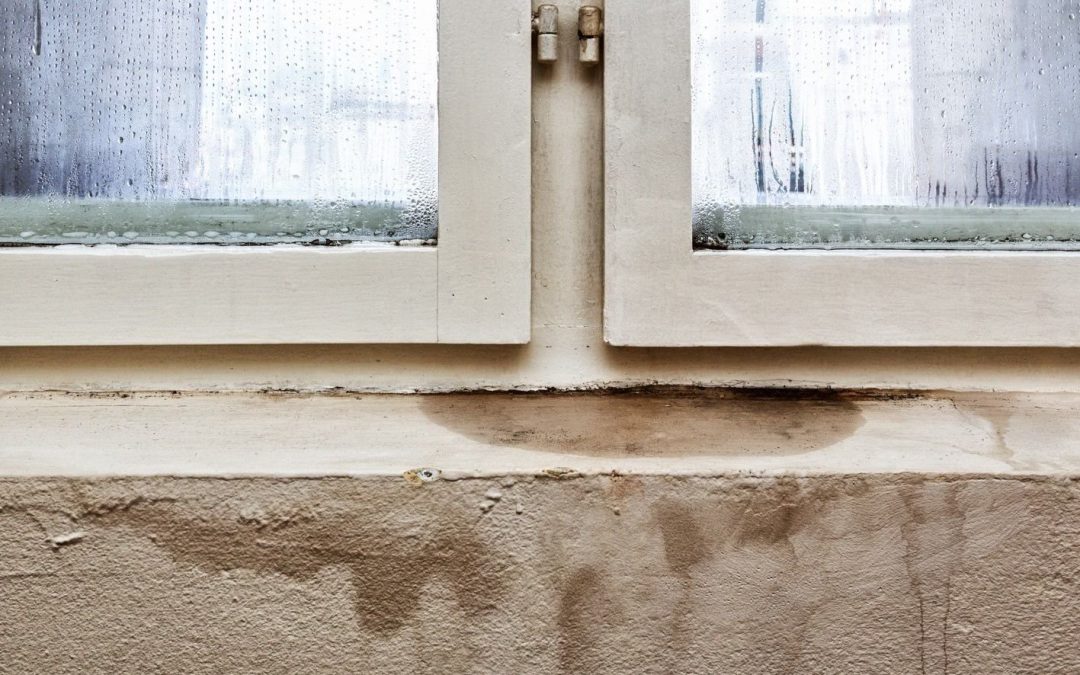 6 Ways to Fix Damaging Basement Moisture