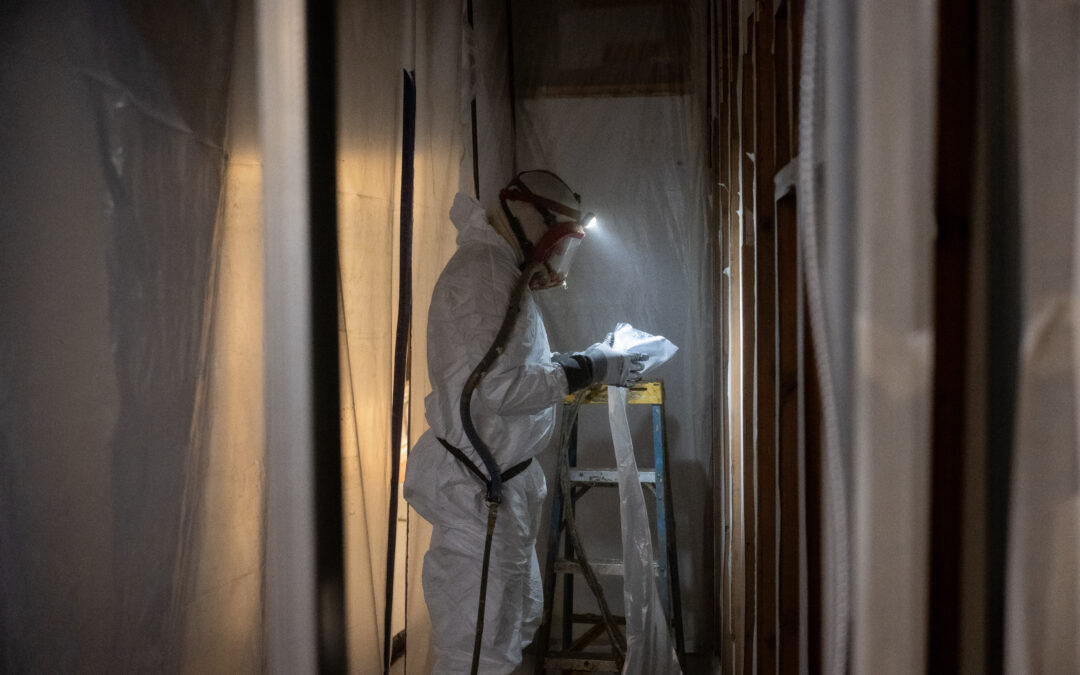 How to Prevent Mold in Basements in VT: Insulation Benefits Explained